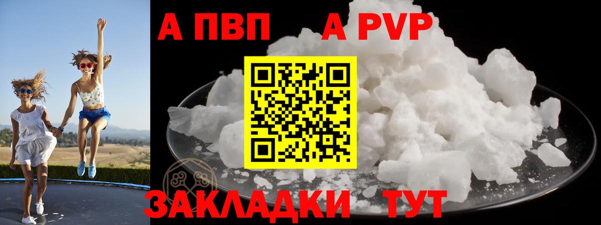 Альфа ПВП СК КРИС Нарткала