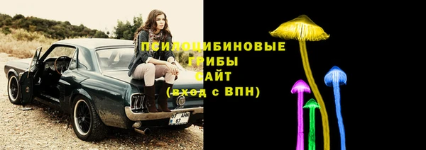 дурь Михайлов