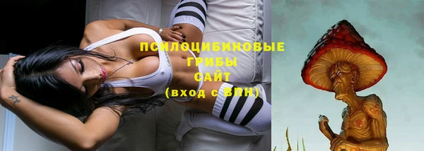 дурь Михайлов