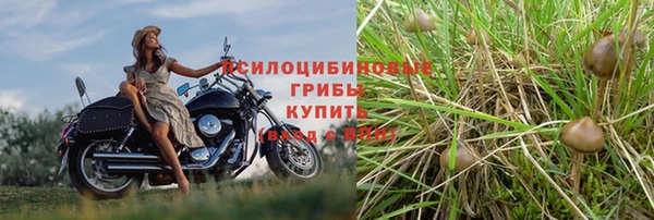 дживик Наволоки