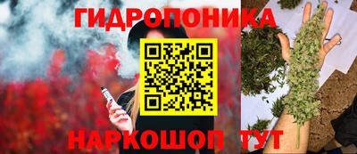 гидропоника Абакан