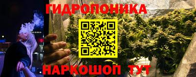 гидропоника Абакан