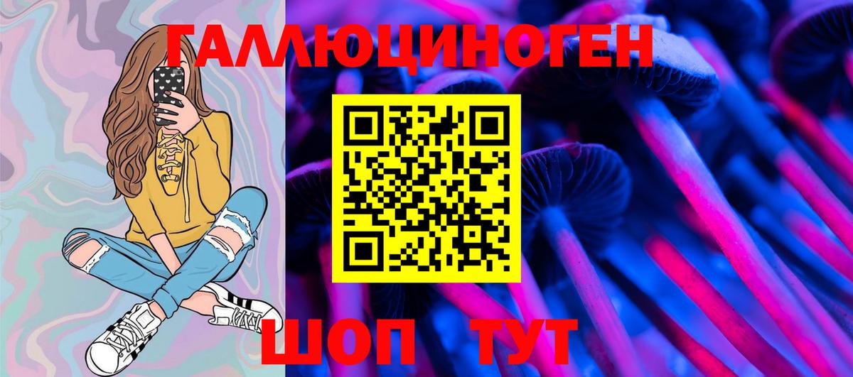 Псилоцибиновые грибы Psilocybe  Вход с VPN  Нарткала 